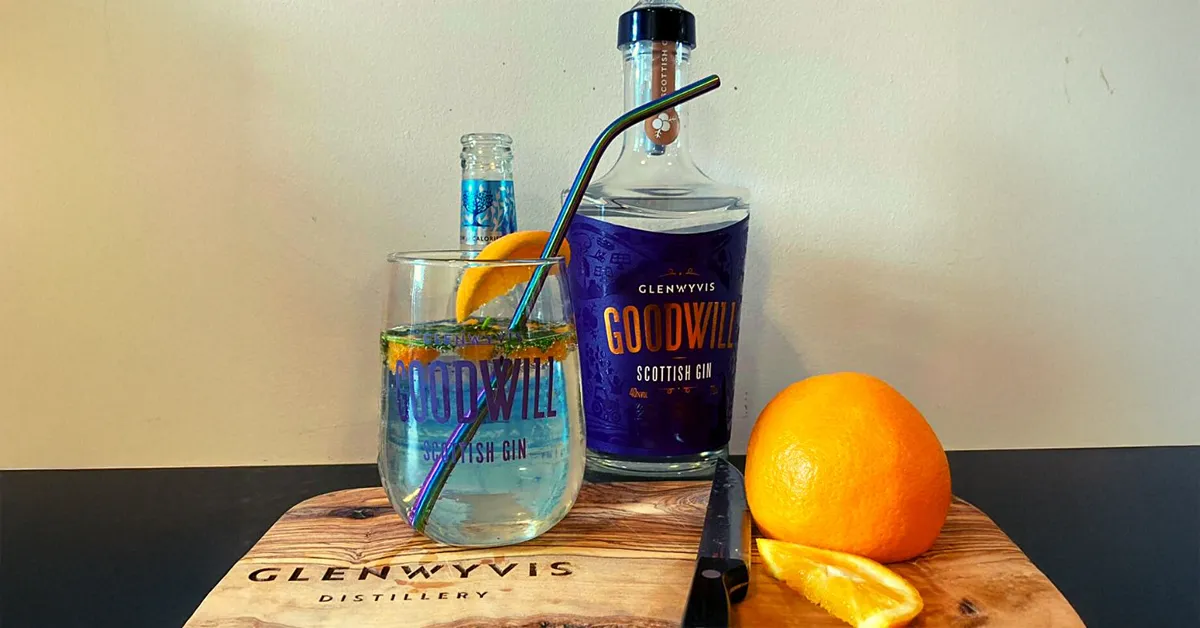 Gin and Tonic with a GoodWill Twist Scottish Gin